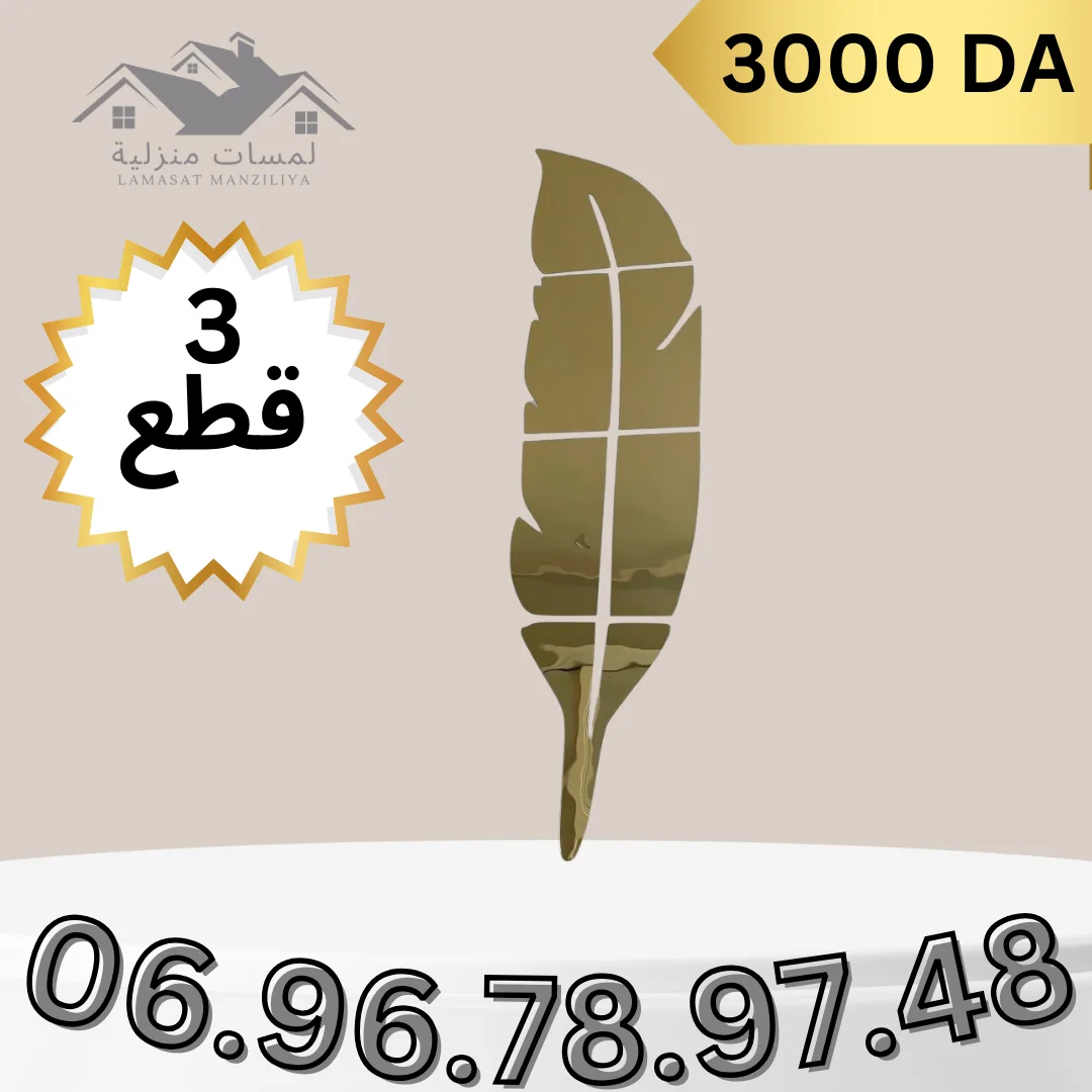 مرآة الريشة