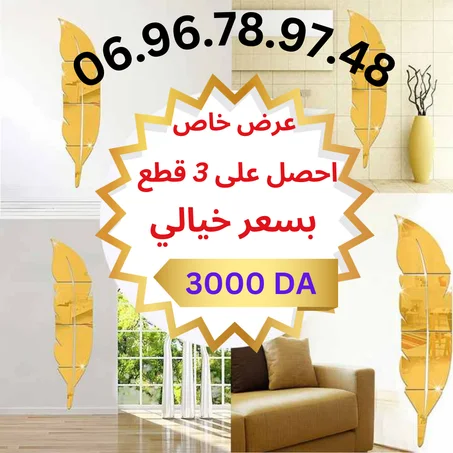 مرآة الريشة