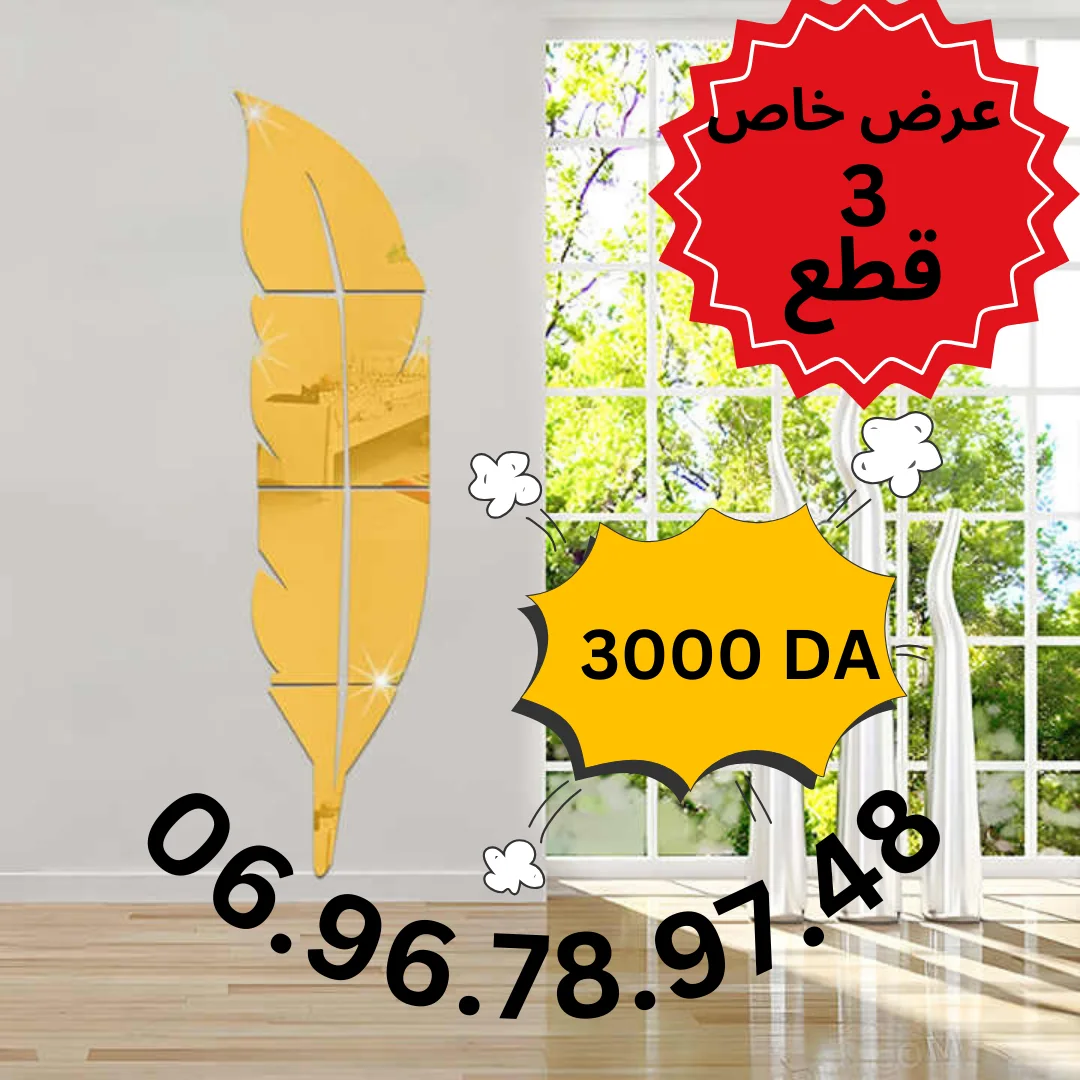 مرآة الريشة