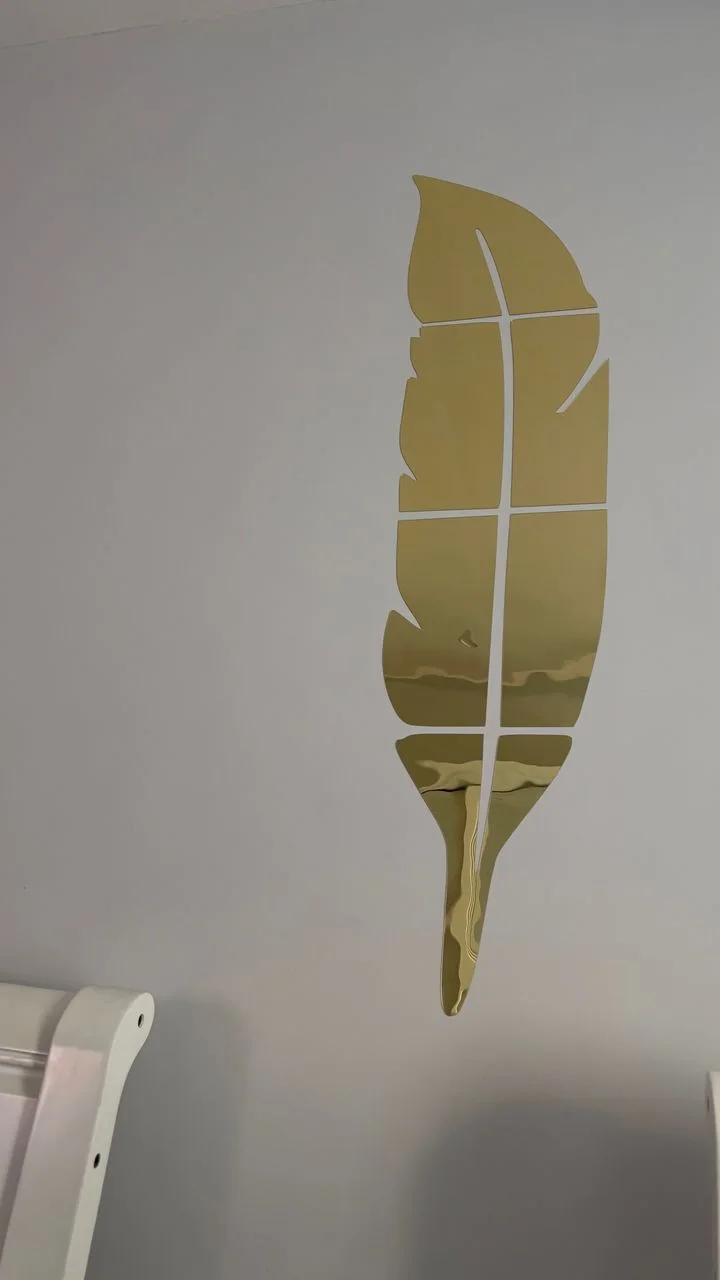 مرآة الريشة