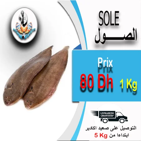 SOLE -  الصول