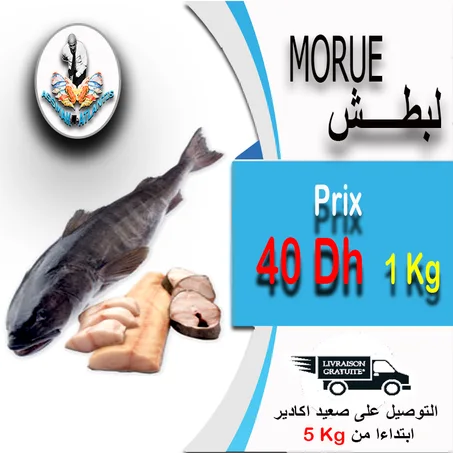 MORUE -  لابطش