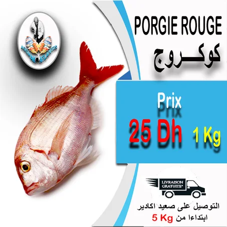 PORGIE ROUGE -  كوكروج