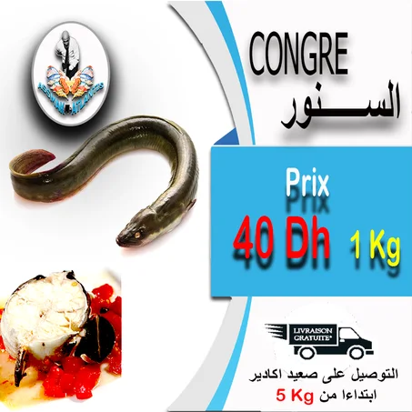 CONGRE - SENNOUR -  السنور