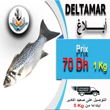 DELTAMARE -  ابلاغ