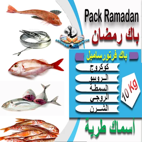 PACK FRETTEURE SIMPLE -  باك فريتور سامبل