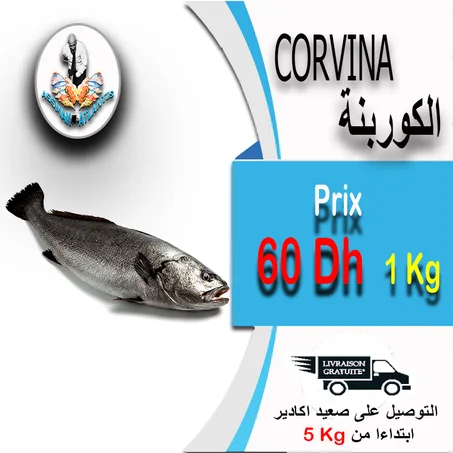 CORVINA - كوربينة