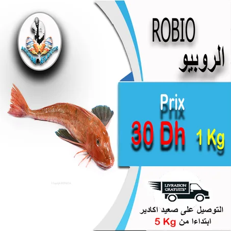 ROBIO - الروبيو