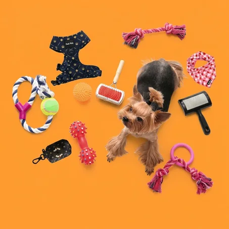 اكسسوارات الحيوانات