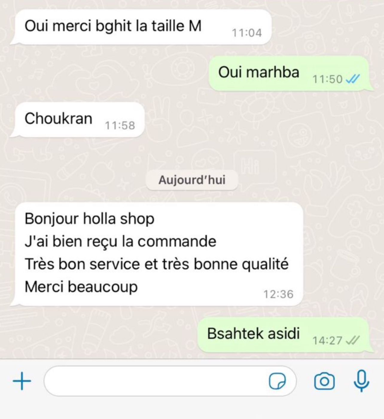 mounir karoumi