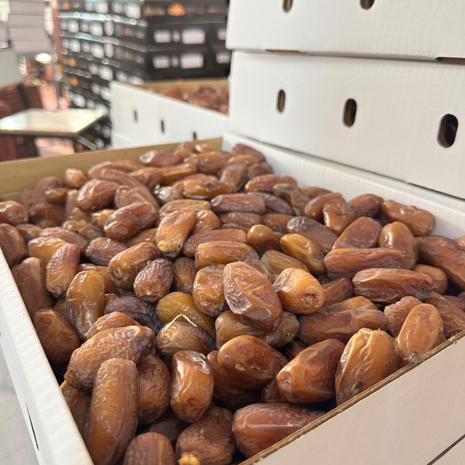 Deglet Nour Standard Dattes en Vrac