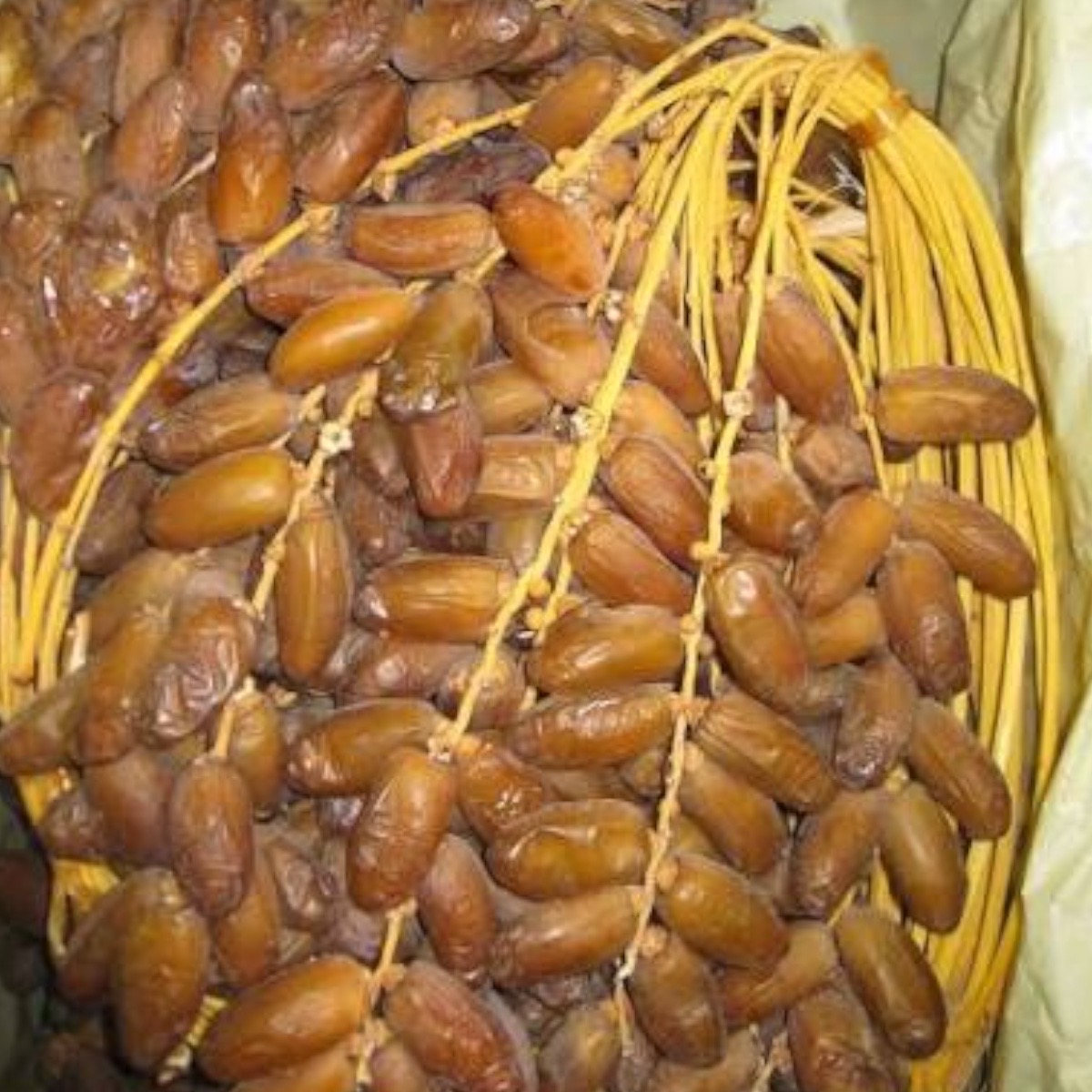 Deglet Nour en Grappe