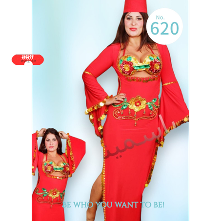 Tenue danse orientale 2 pièces roug doré taille standard tissu élastique sans Accessoire