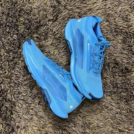 Neuve | Nike Pegasus Trail 4 GORE-TEX | 42