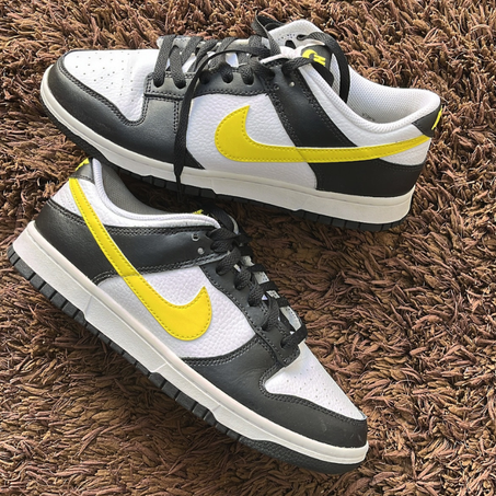 Occasion | Nike Dunk Low 41