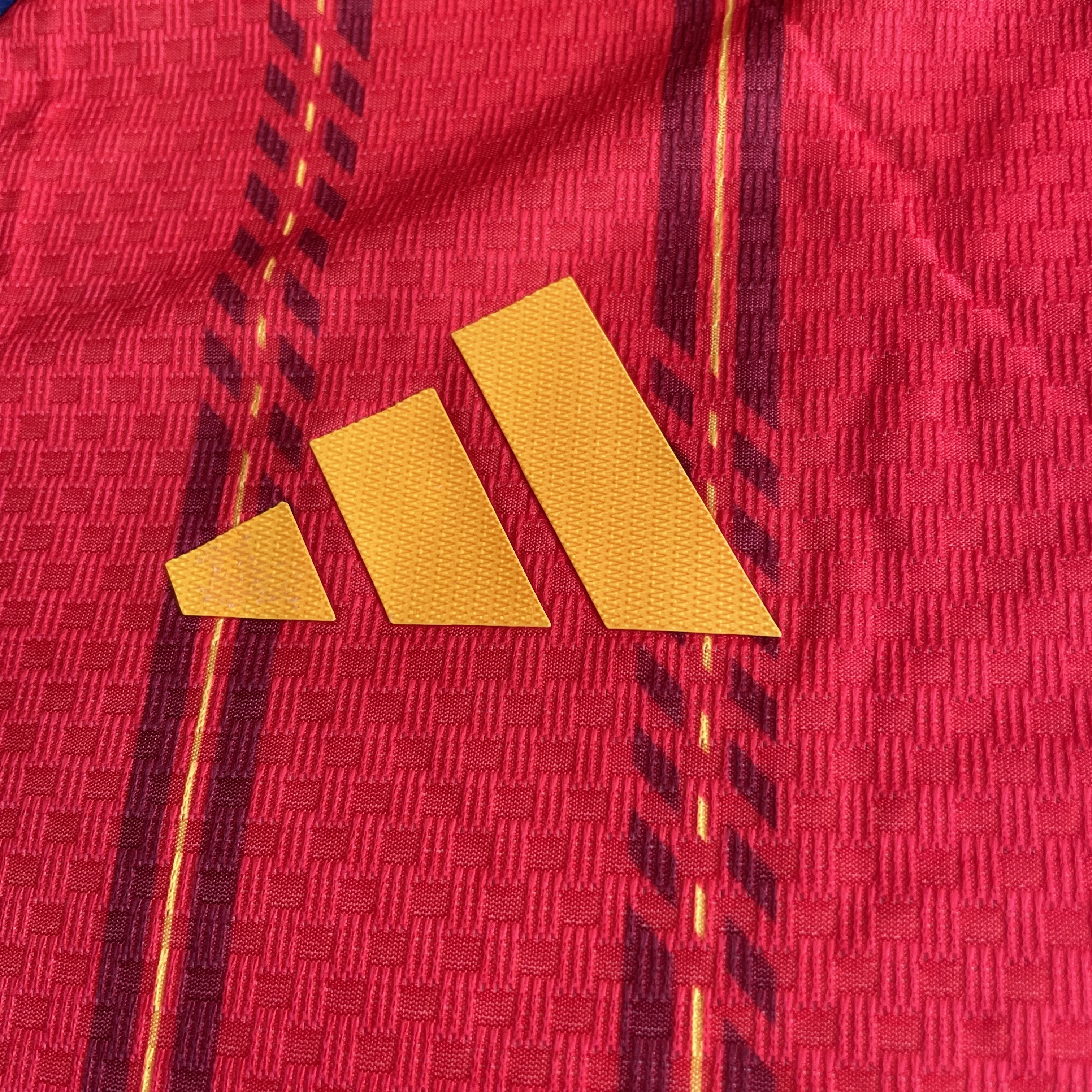 Spain Jersey WC26