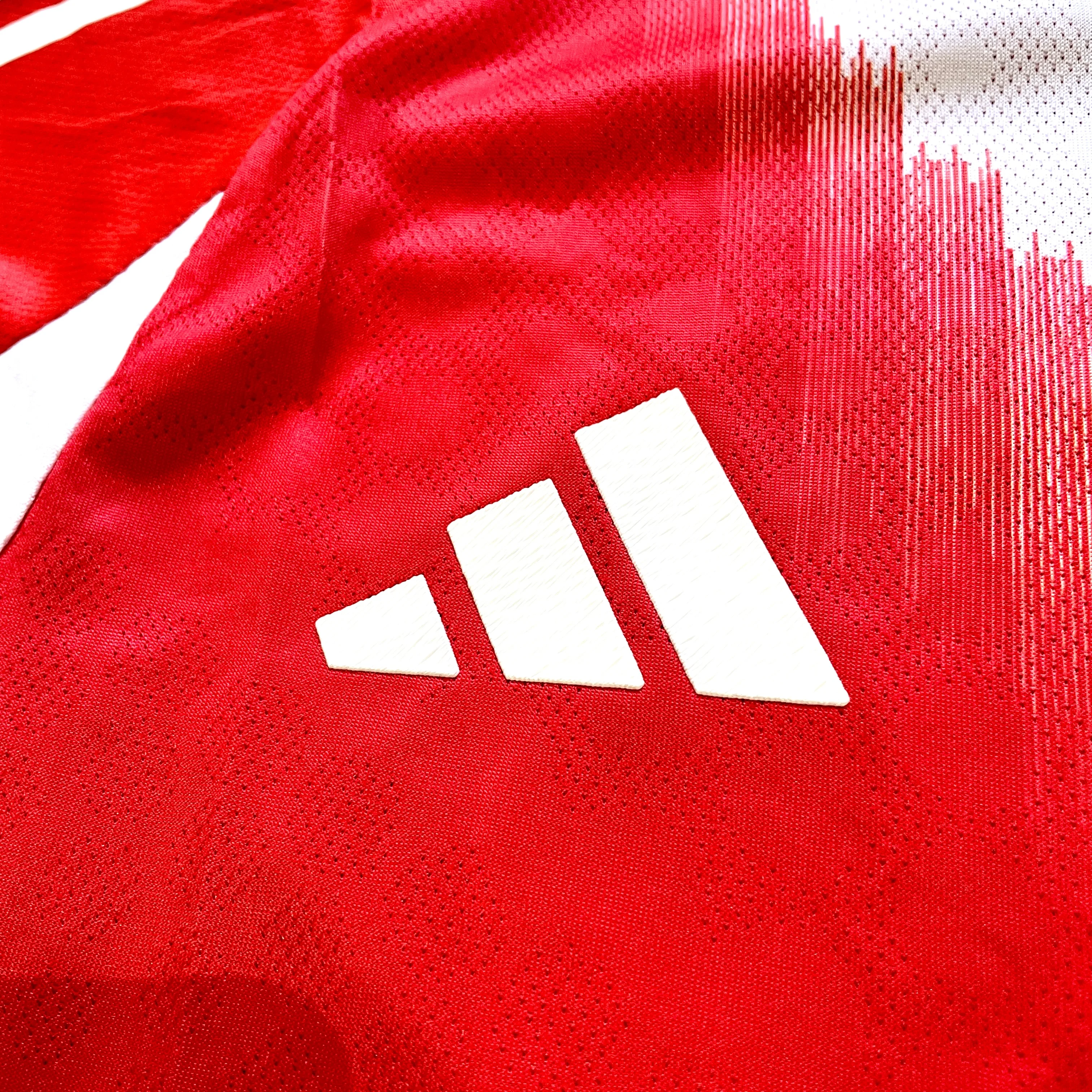 Bayern Munich Home Jersey 25/26