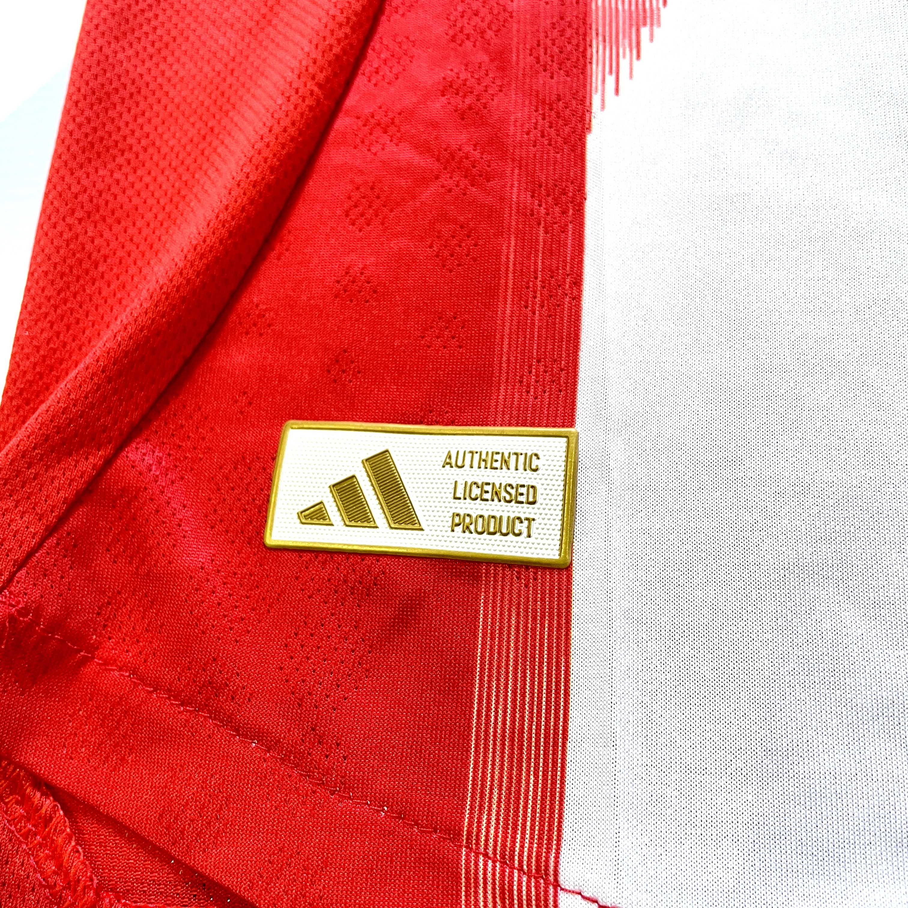 Bayern Munich Home Jersey 25/26