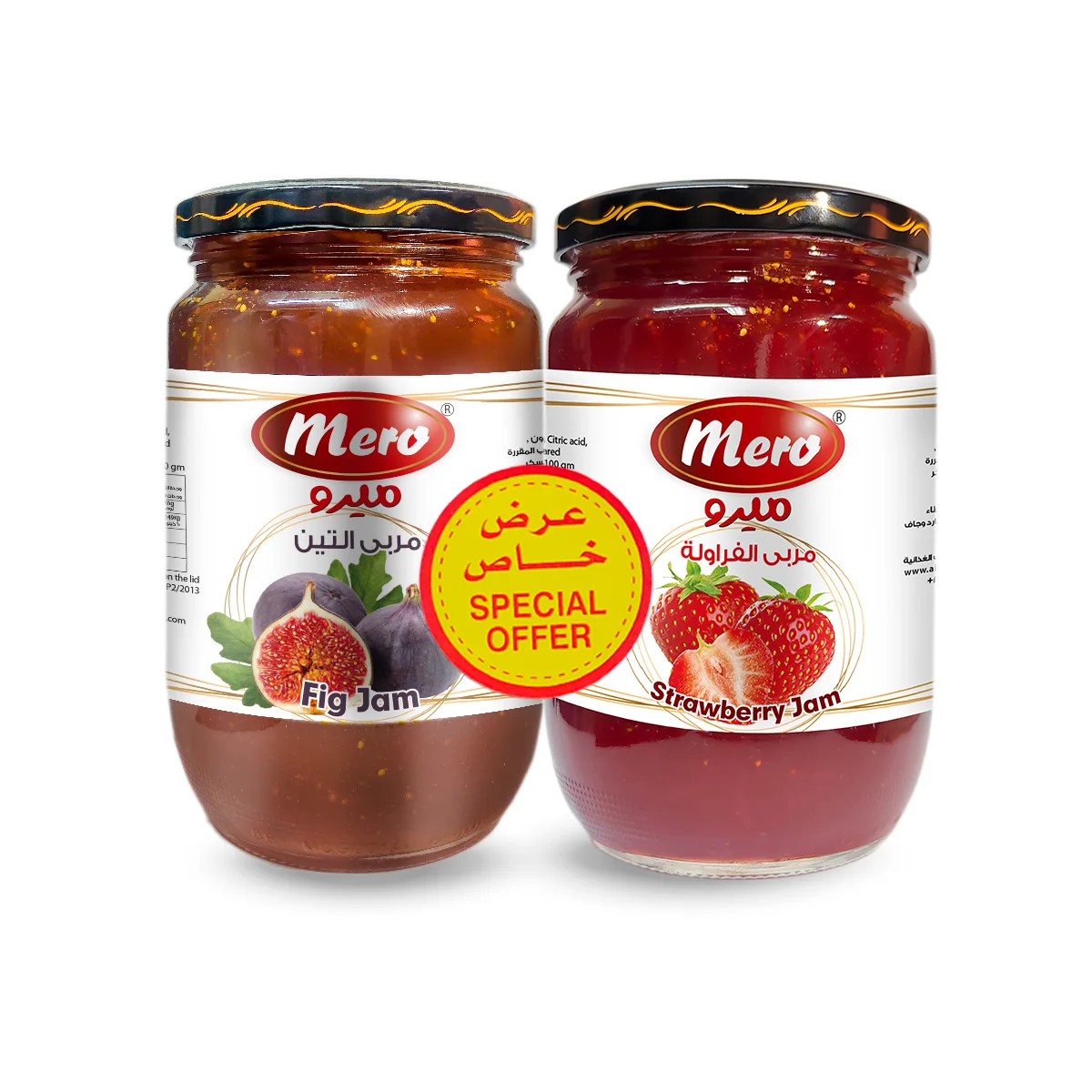 مربي