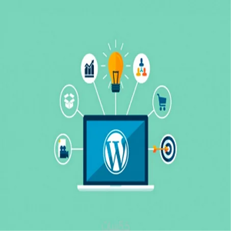 قسم البرمجة والتطوير