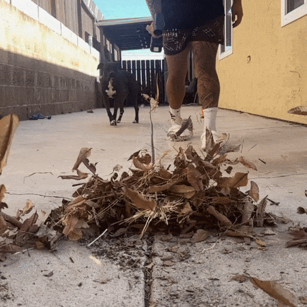 منفاخ الهواء القوي