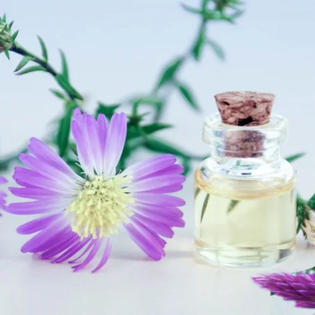 الجمال / Beauté
