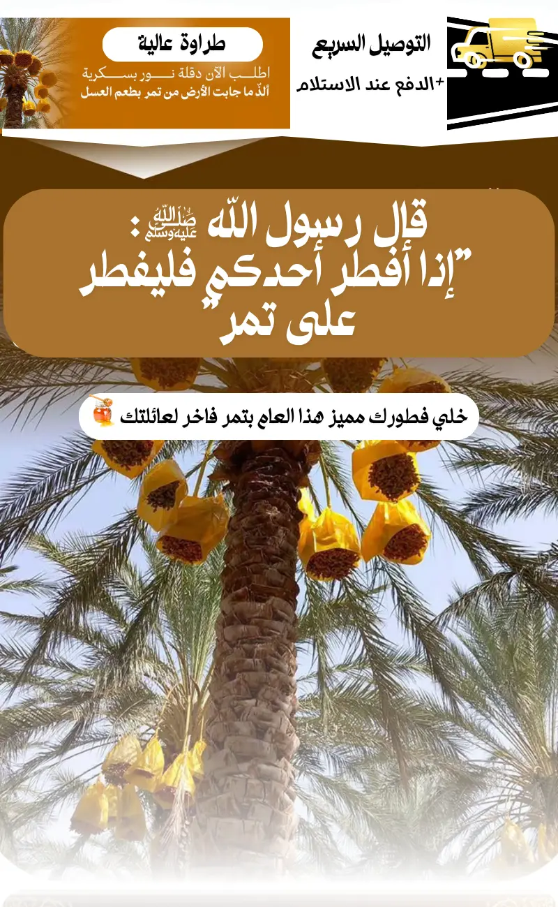 صندوق 10 كلغ + 2 كلغ مجانا