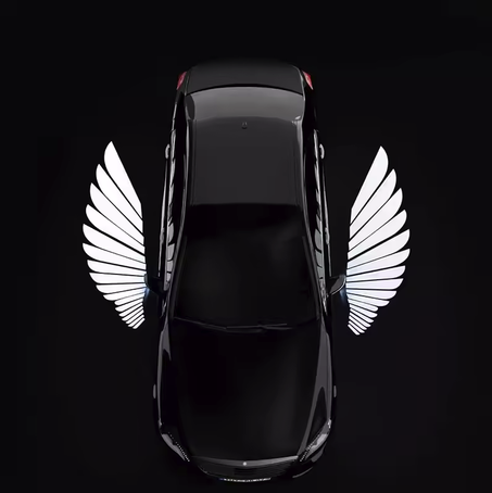 ضوء السيارة المجنح WingAngel™