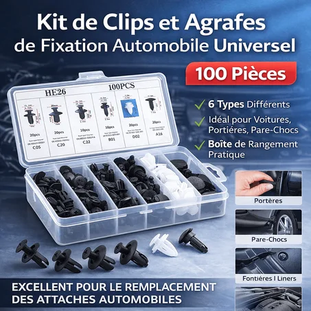 Clips Automobile Universels – Boîte de 100 Pièces - TG