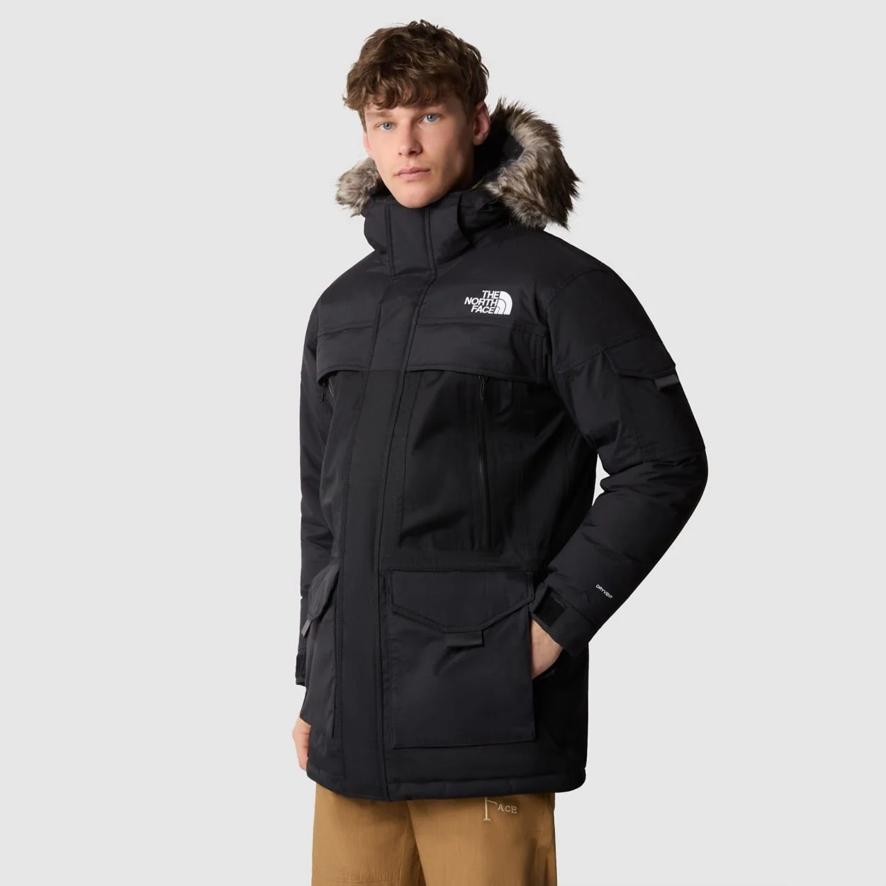 THE NORTH FACE