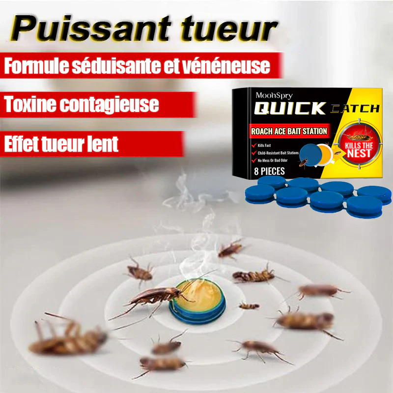 Station d'appât pour cafards