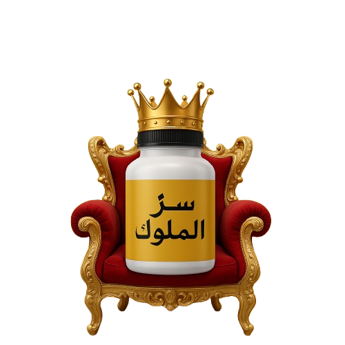 دار الملوك