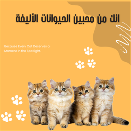 الحيوانات الأليفة