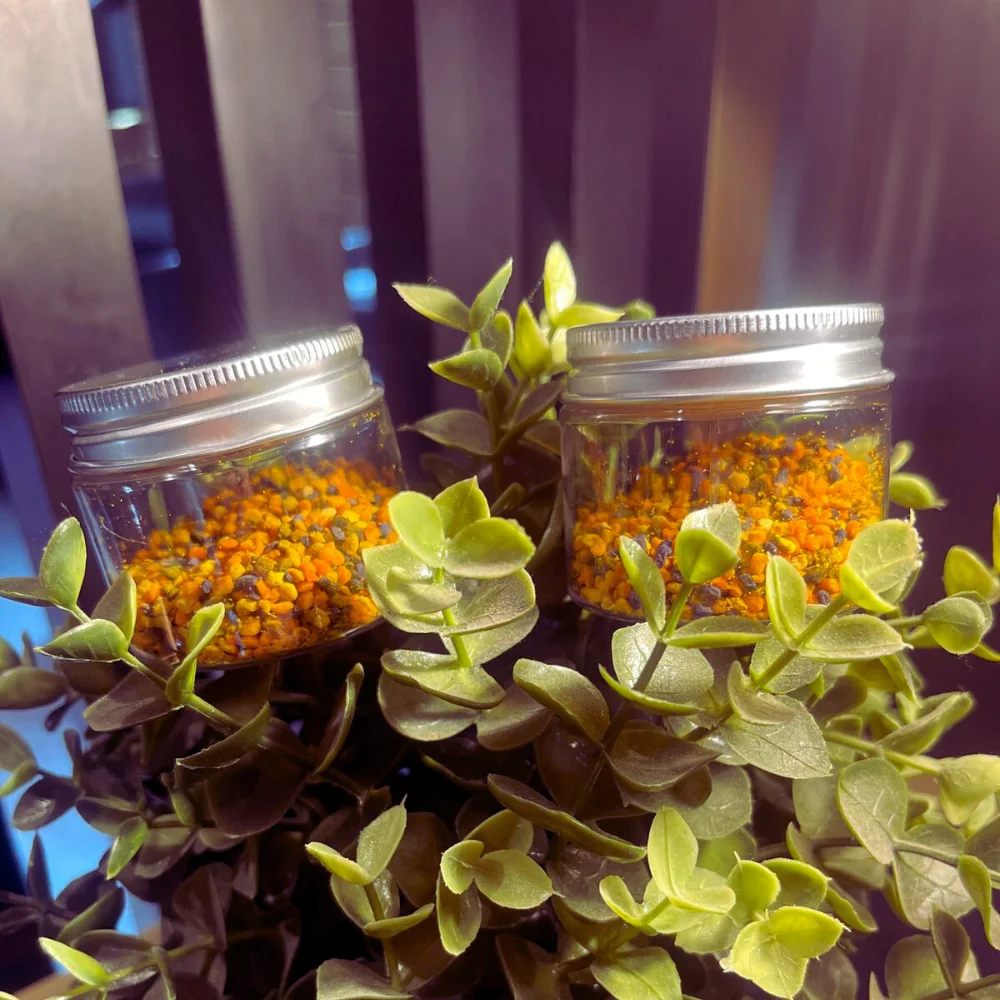 حبوب اللقاح