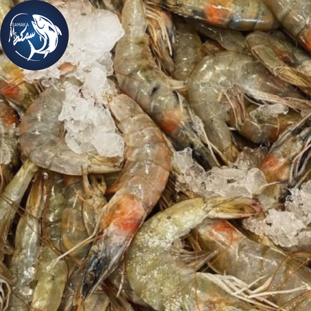قمرون رمادي - Crevette Grise
