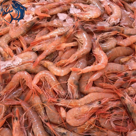 قمرون وردي - crevette rose