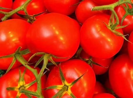 طماطم طازجة مختارة بعناية – نكهة طبيعية وجودة عالية