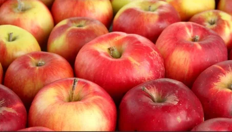 🍎 تفاح طازج عالي الجودة  مذاق حلو ومنعش وفوائد لا تُحصى