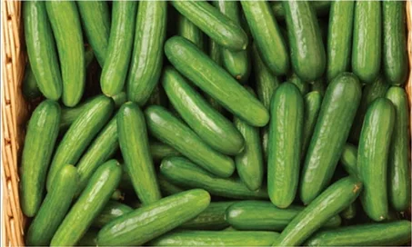 فكوص طازج