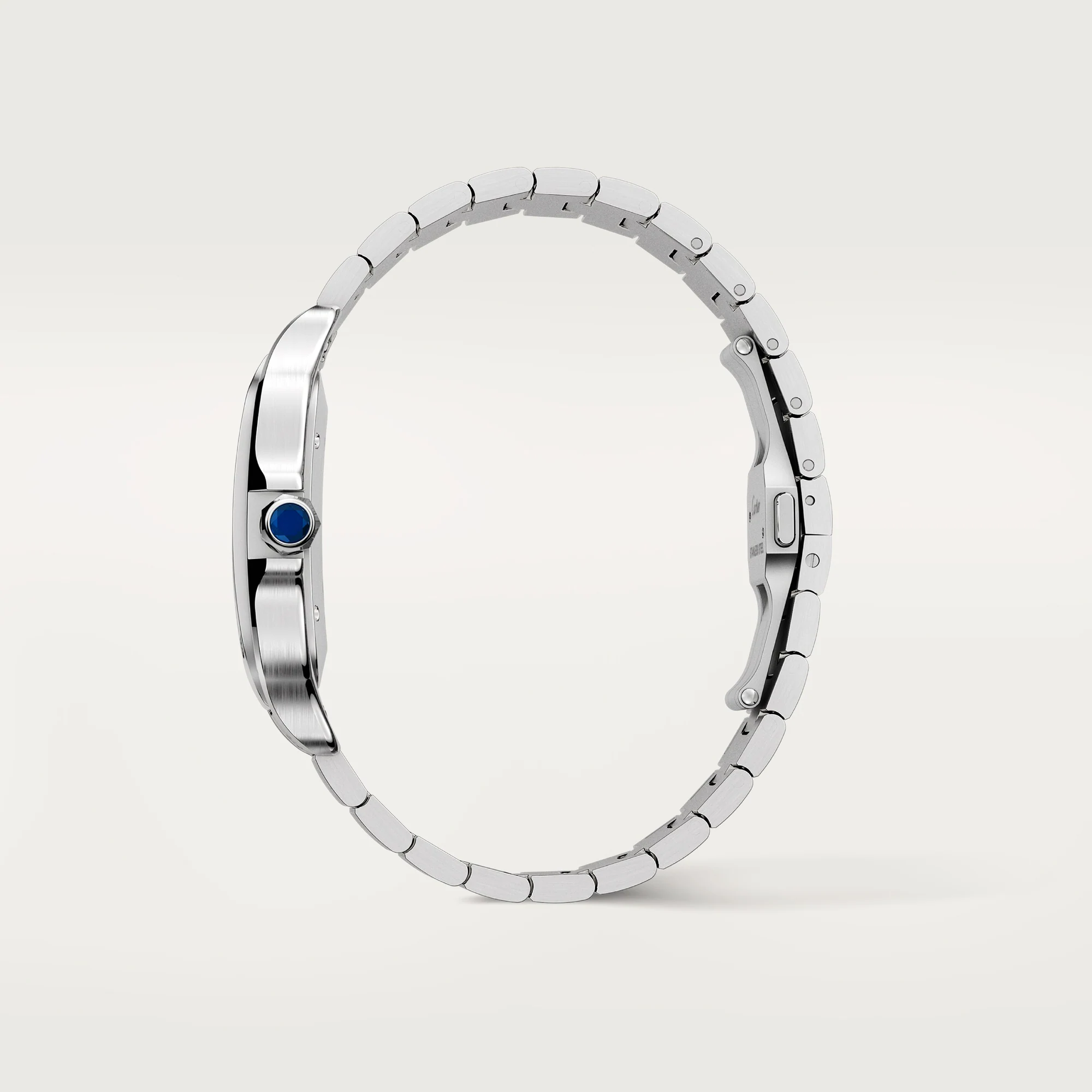 Montre Cartier Santos WSSA0018 pour homme avec cadran opalin et bracelet en acier inoxydable