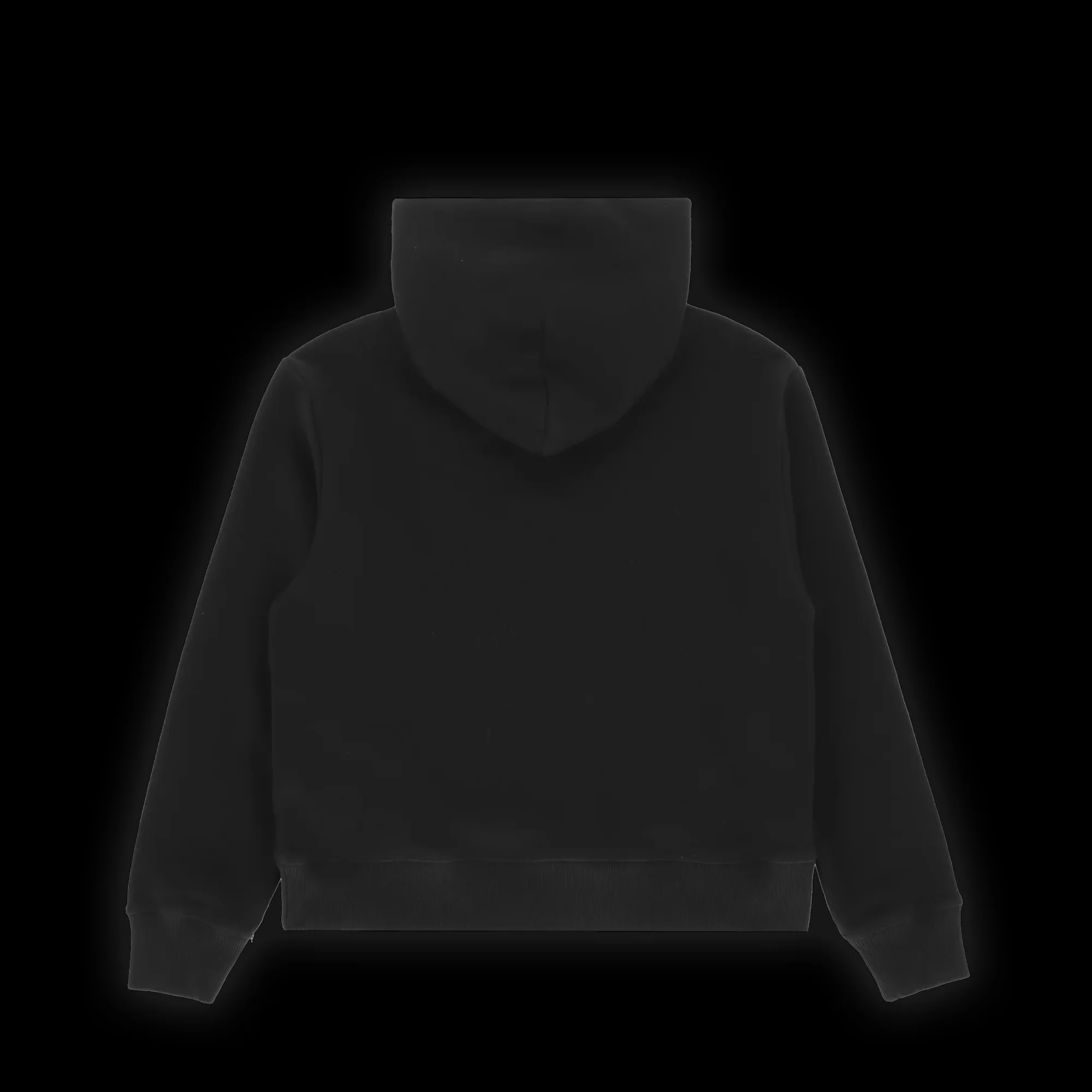 TWO MIDDLE FINGERS HOODIE