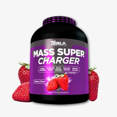 MASS SUPER CHARGER 4.54 KG TESLA