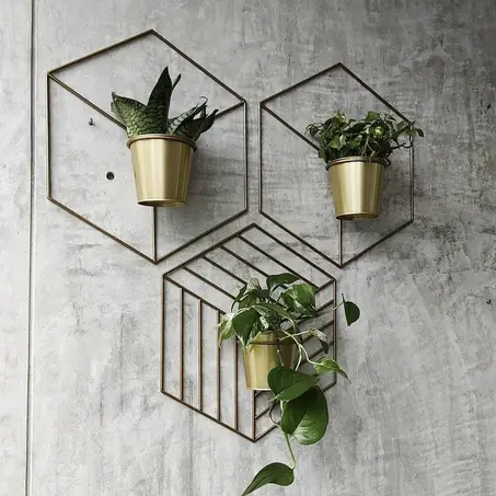 حامل النبات support plante