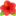 🌺