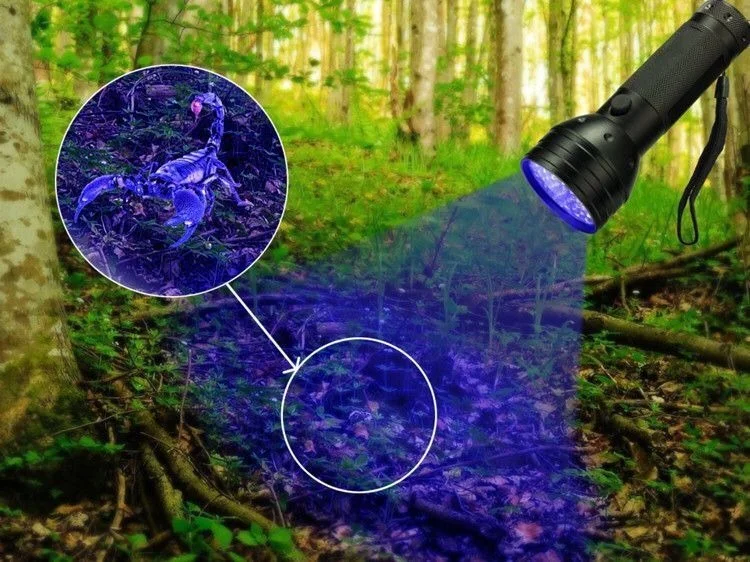 مصباح يدوي يعمل بالأشعة فوق البنفسجية