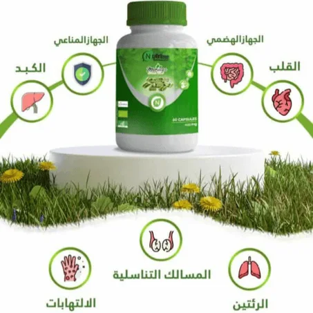 المورينجا الشجرة المعجزة التي يمكنها معالجة أكثر من 300 مرض