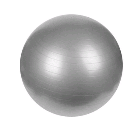 Gym Ball For Exercise With Inflating Pump