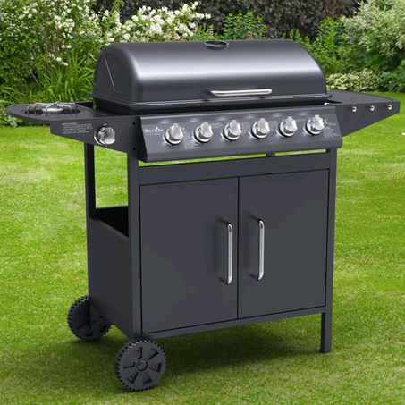 6 Burner With Side Burner Gas BarbeCue Machine (BBQ)