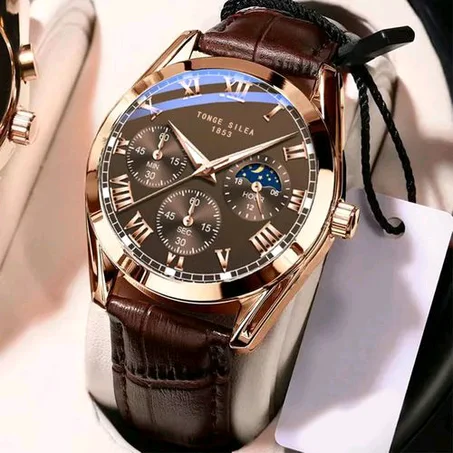 Wrist Watche Fashion Iuminous Simple Quartz Watch Gold/Brown
