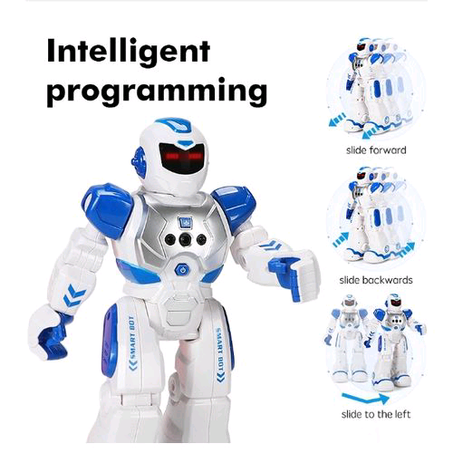 Multifunctional Intelligent Robot